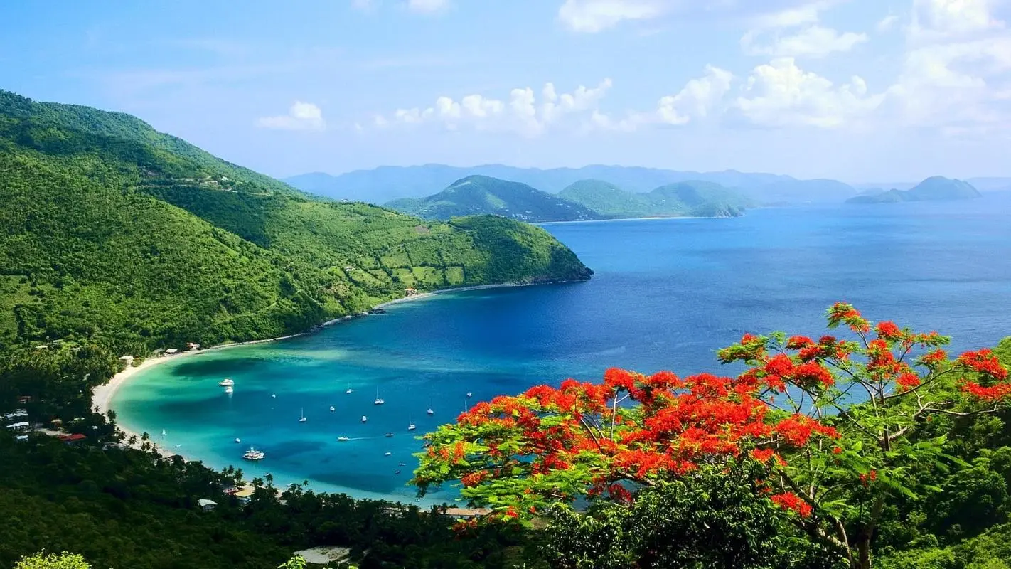 全自动高标准
